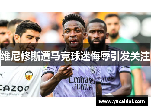 维尼修斯遭马竞球迷侮辱引发关注